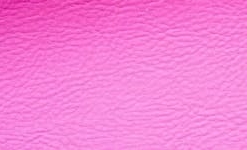 Violet 501