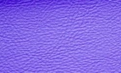 Violet 505