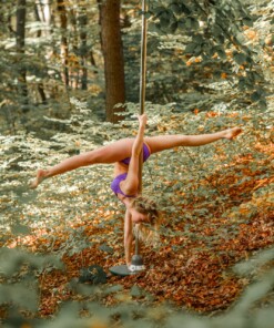 Gympole Active pole screwed into the ground in an autumn forest