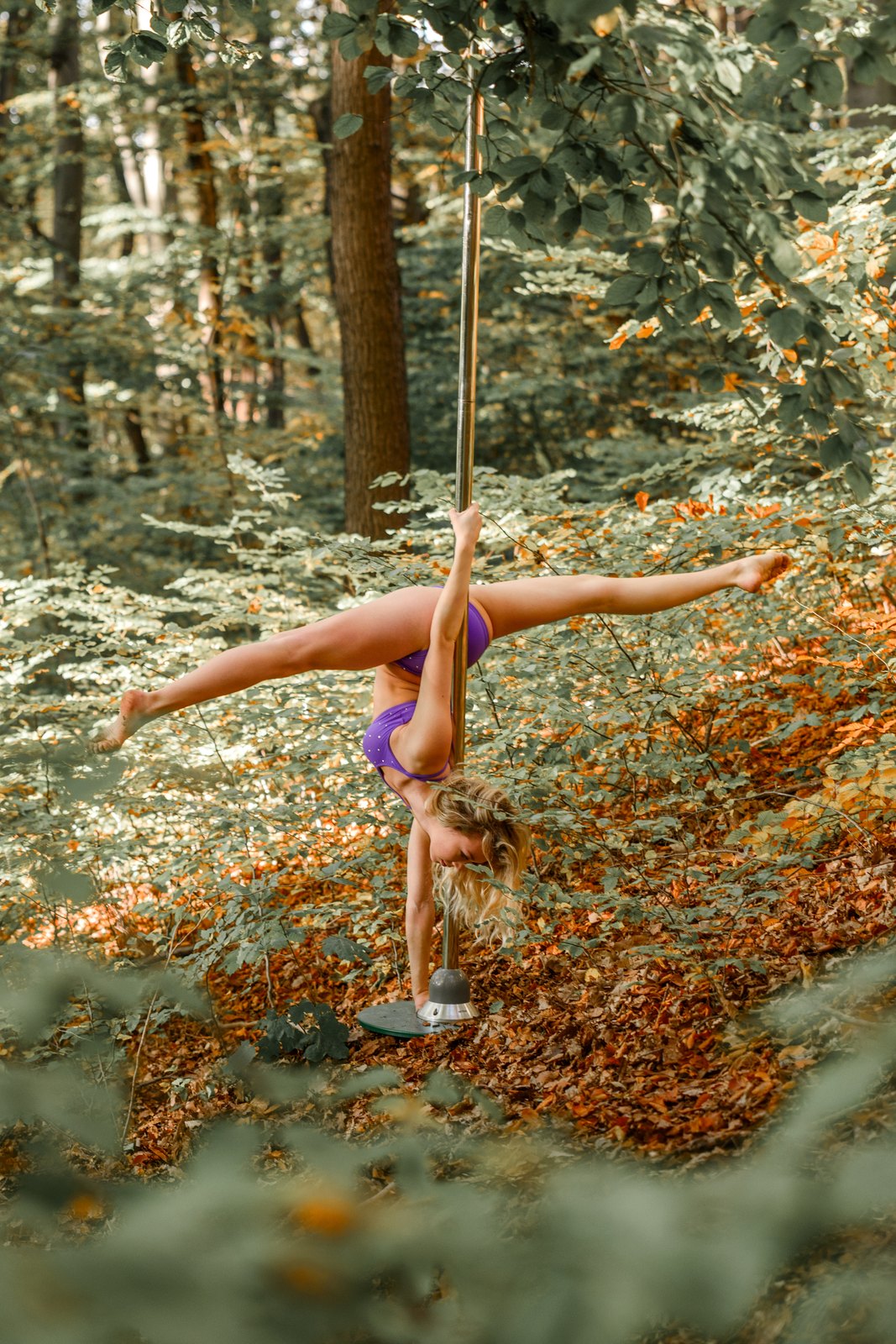 Gympole Active pole screwed into the ground in an autumn forest